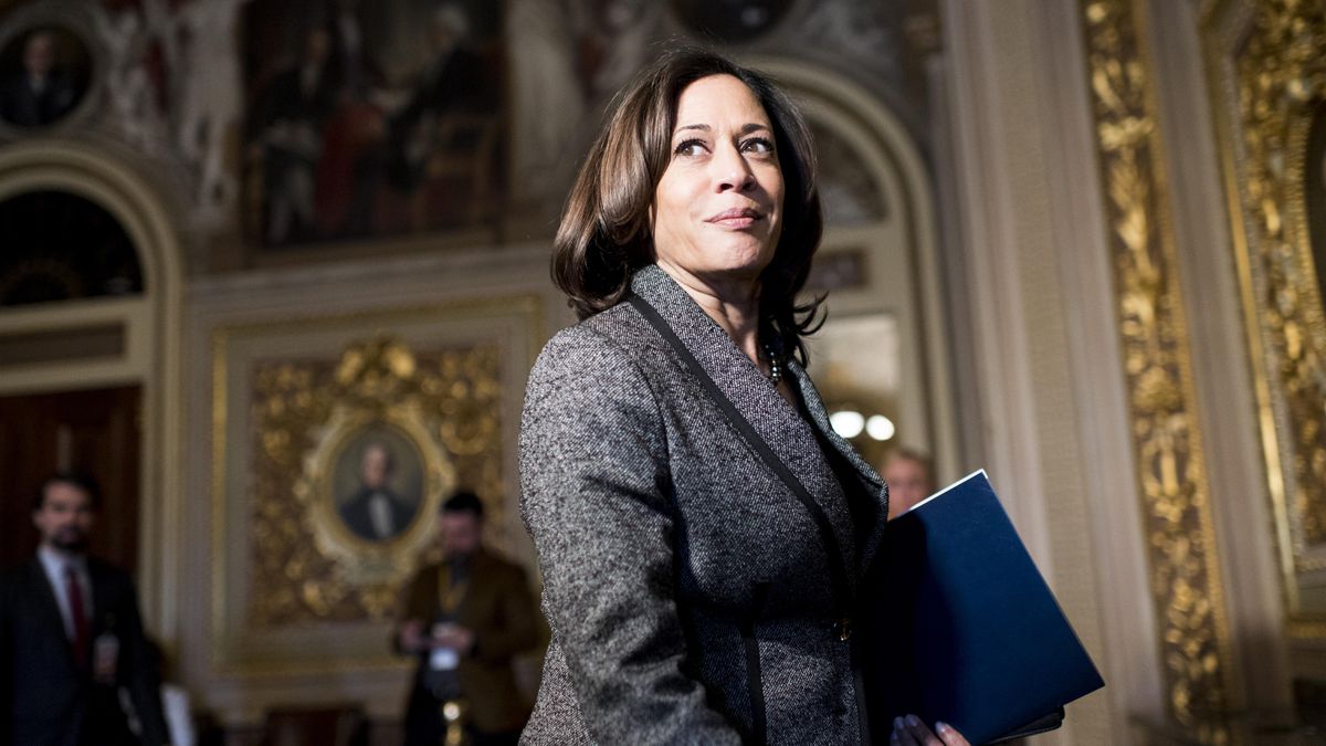 Obama, Kamala Harris are children of immigrants. Would voters elect a Foundational Black? (descendent of American slavery)