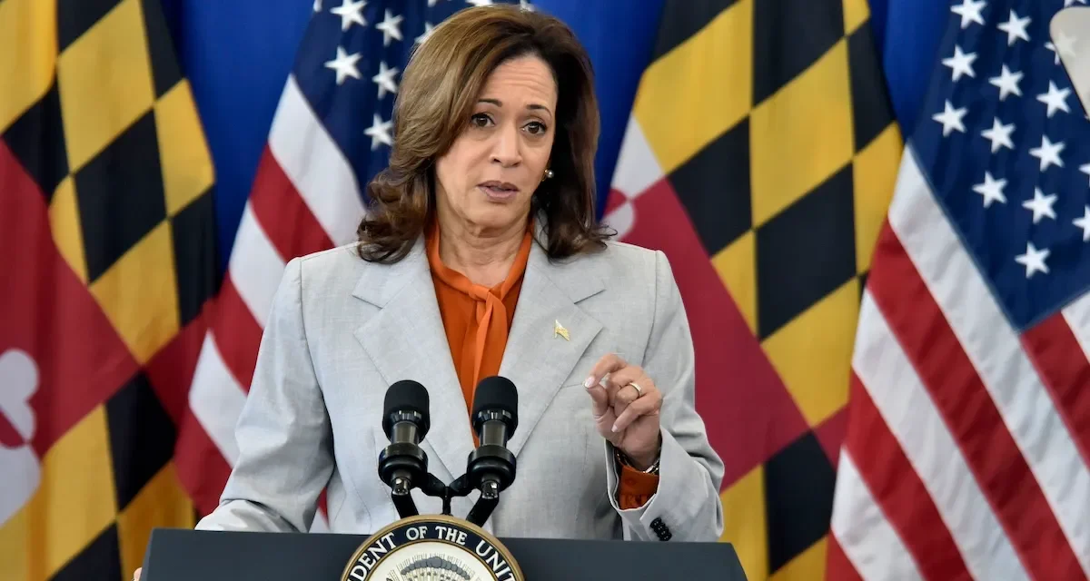 If Kamala loses, it may not be her fault